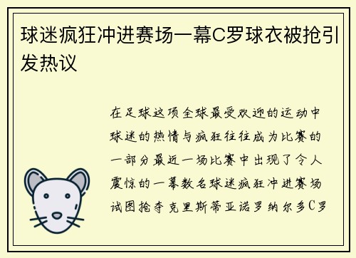 球迷疯狂冲进赛场一幕C罗球衣被抢引发热议